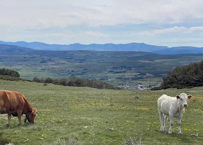 Сasa de vacaciones Herencia De Ganaderos Sierra De Gredos- ávila *